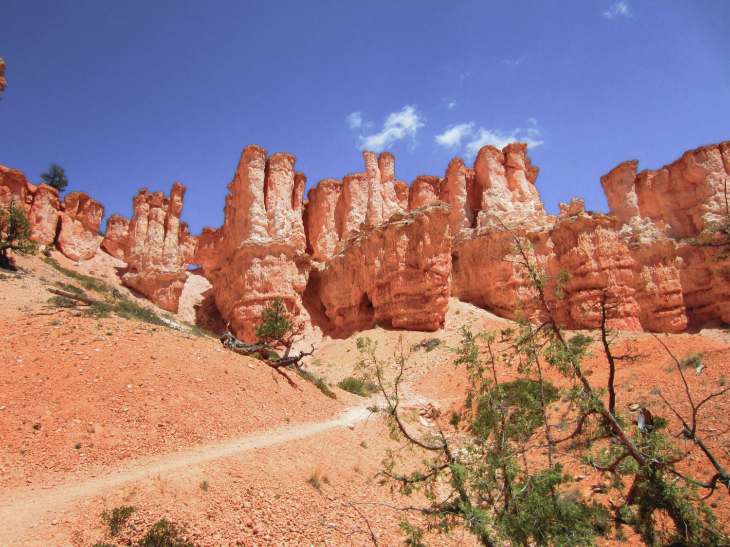 USA_Bryce Canyon_A_110